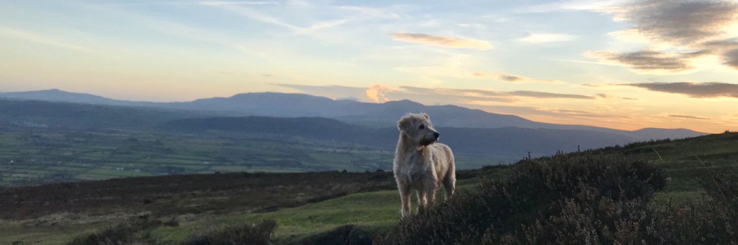 tinarodney05's profile banner image