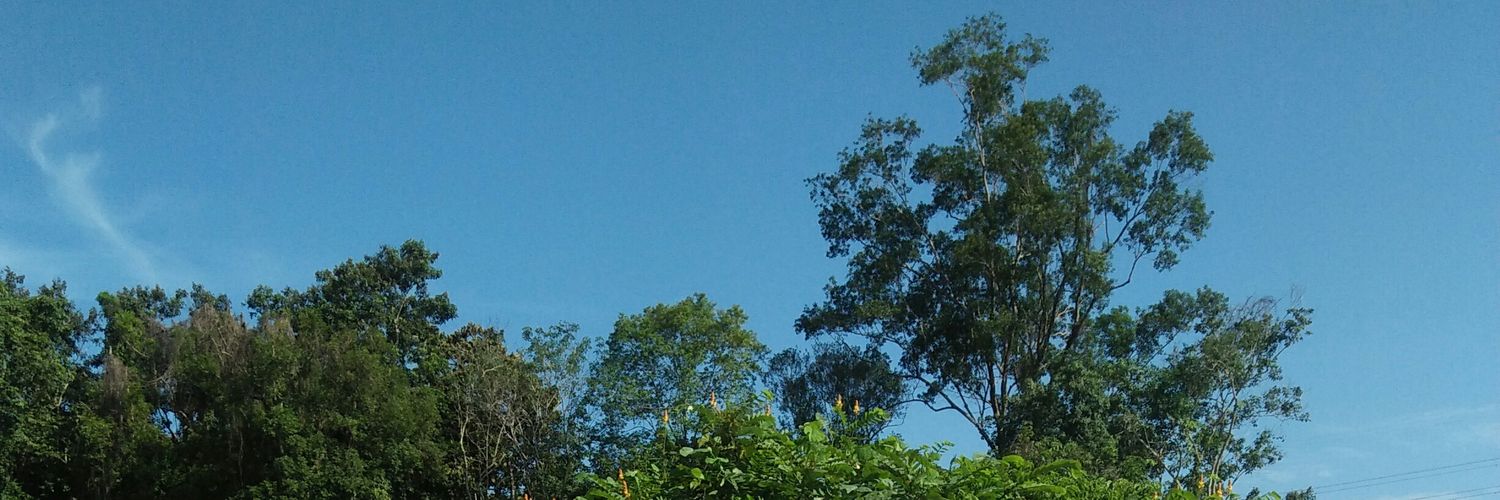 dedeelanggas's profile banner image