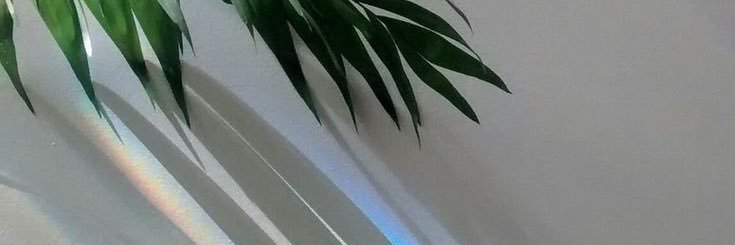 xbabegrande's profile banner image