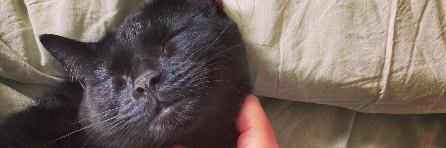 gg_meow's profile banner image