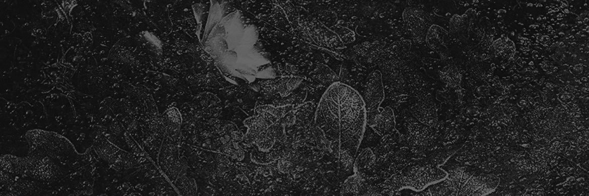 longliferoro's profile banner image