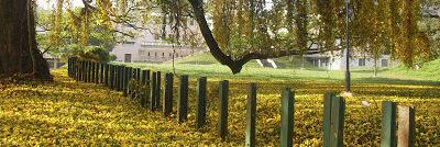 prabaveera2222's profile banner image