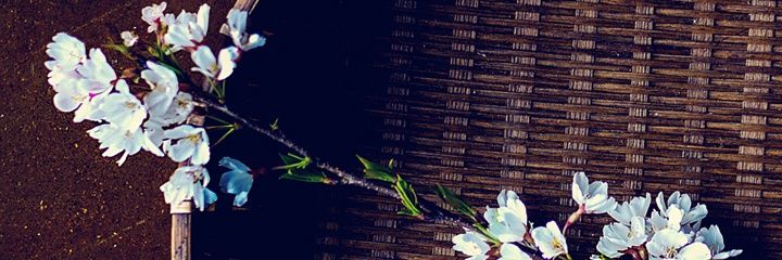 BazFoooz's profile banner image