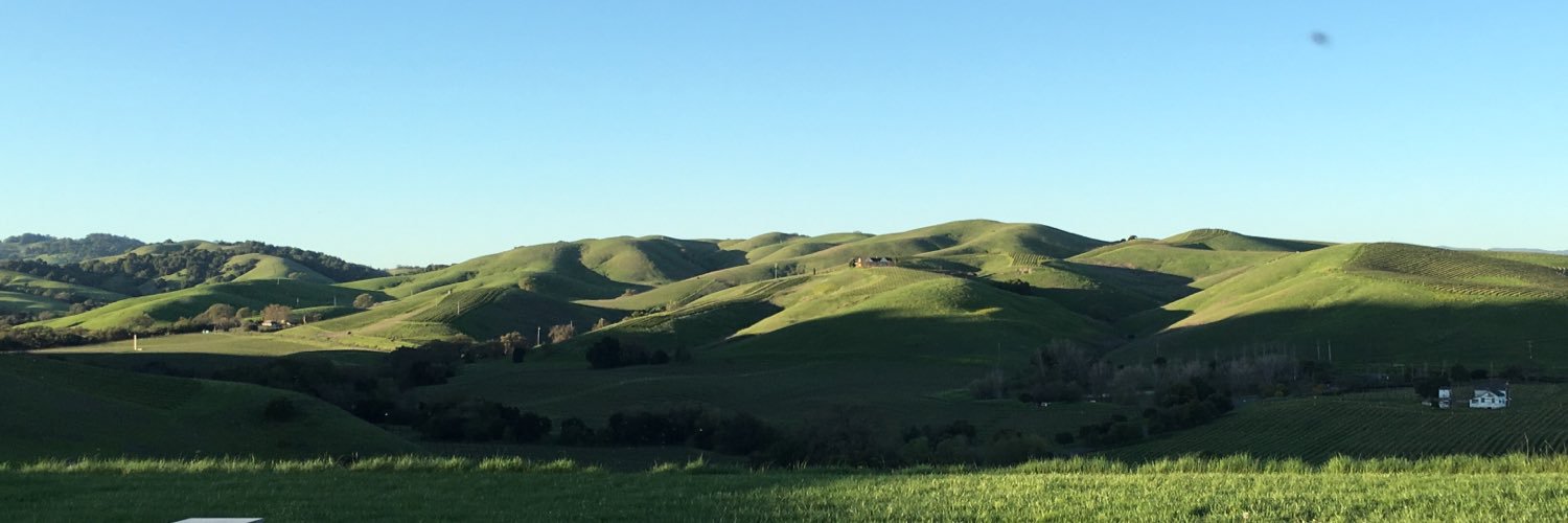 oliversteiner's profile banner image