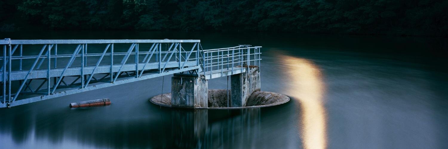 Pascal Amoyel banner