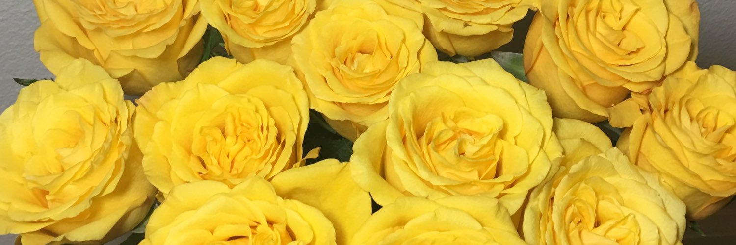 Starlet_cbrb's profile banner image