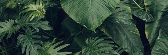 jacob_mann125's profile banner image