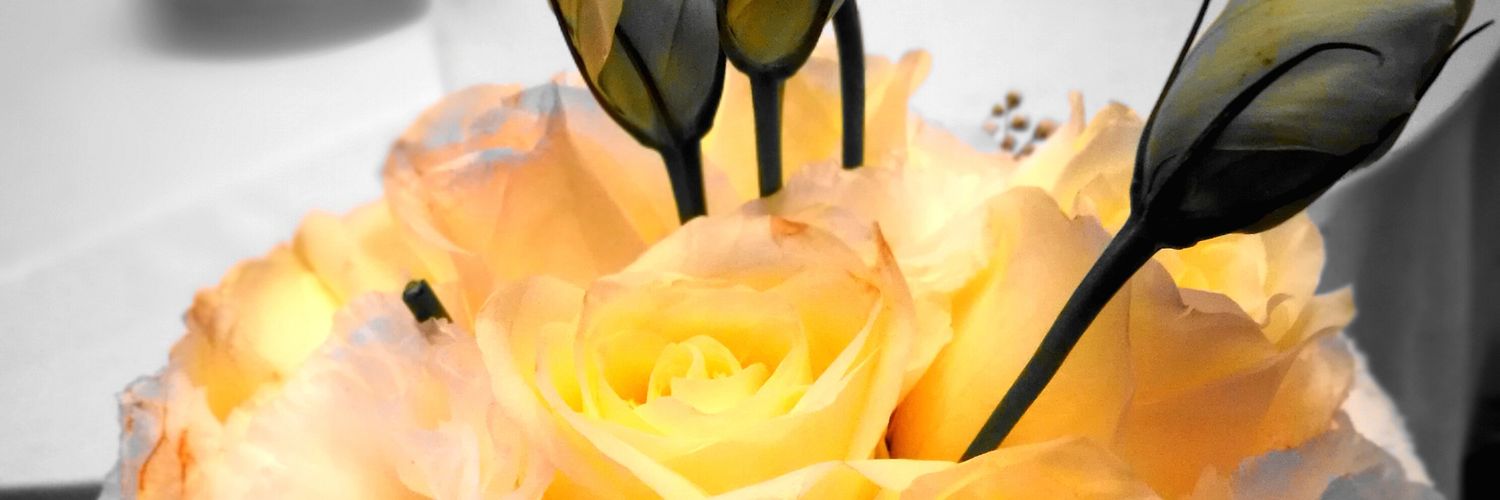 FarisRosdidi's profile banner image