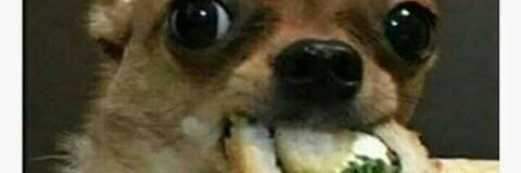 lauchicrouch's profile banner image