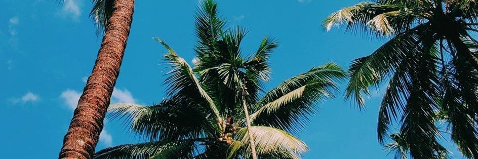 NickedByNick62's profile banner image