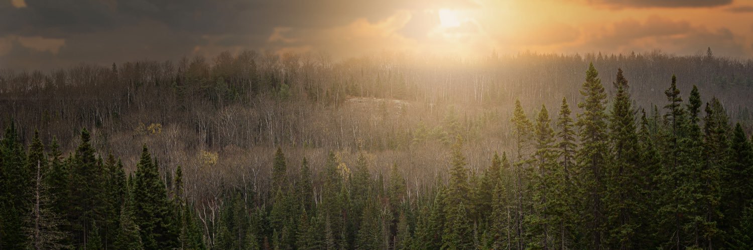 Mushka864's profile banner image