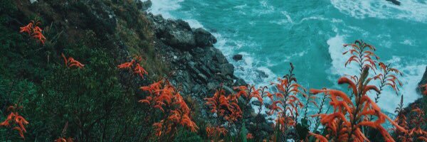 арвуля 🌈✨💕🌿 banner