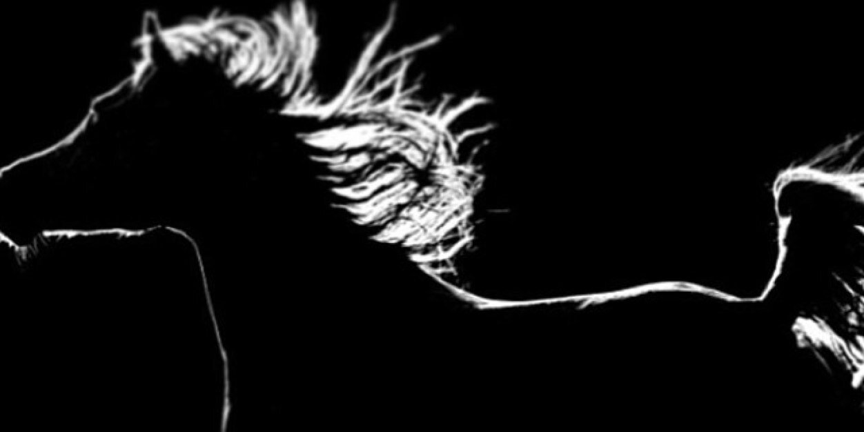 4artF16's profile banner image