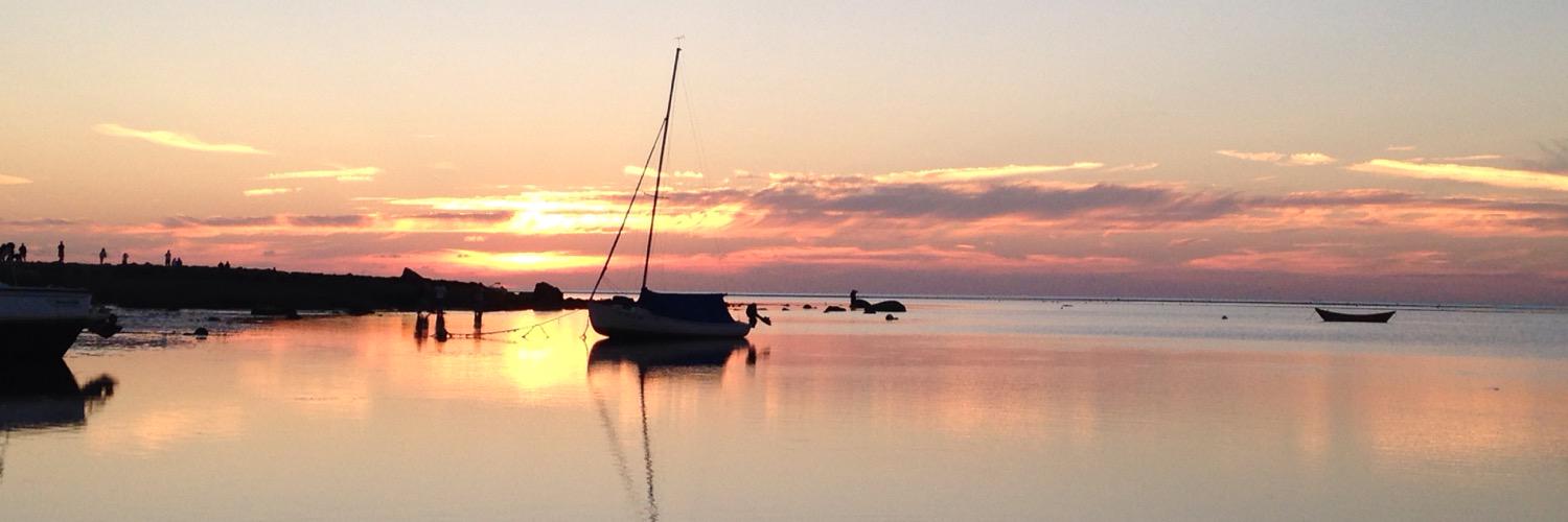 Kelly Campbell banner