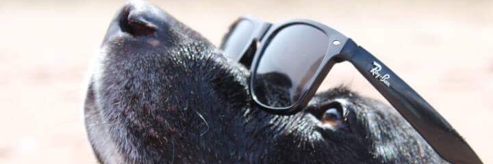 whitneynbd's profile banner image