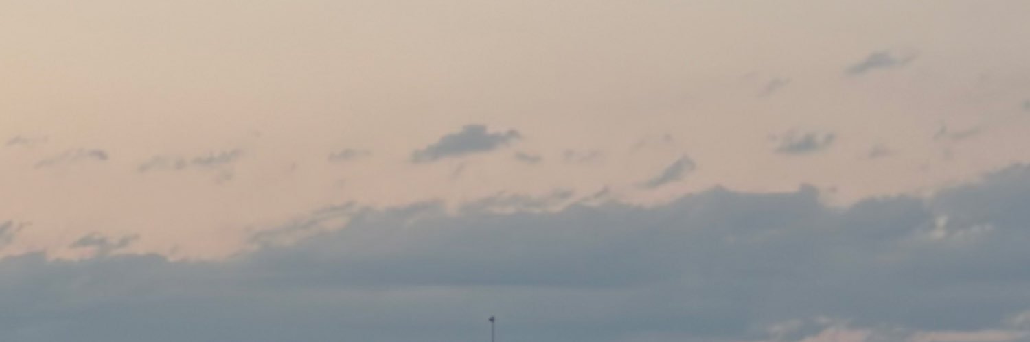 debnamphoria's profile banner image