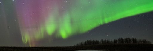 Virginie De Visscher banner