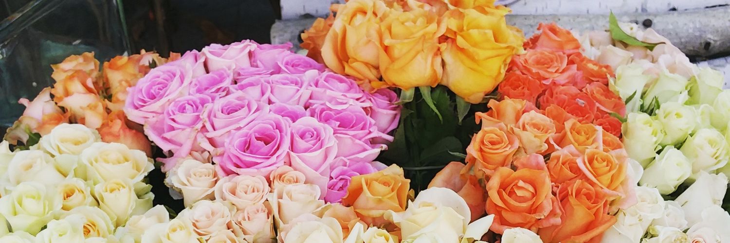 makeupillusion's profile banner image