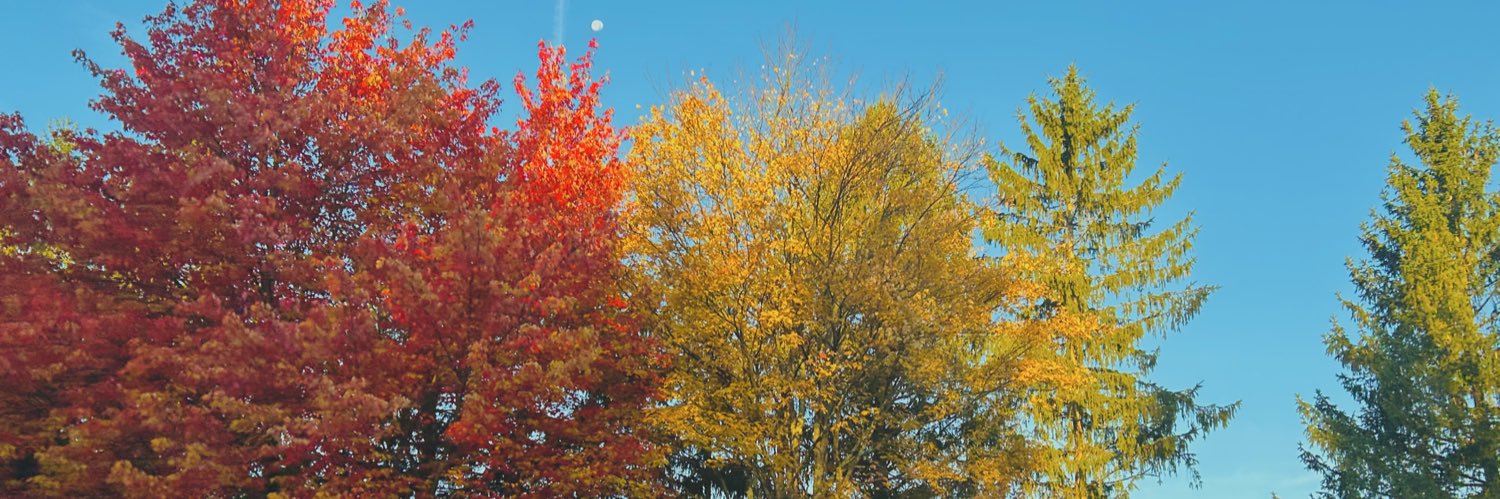 Sfabb94's profile banner image