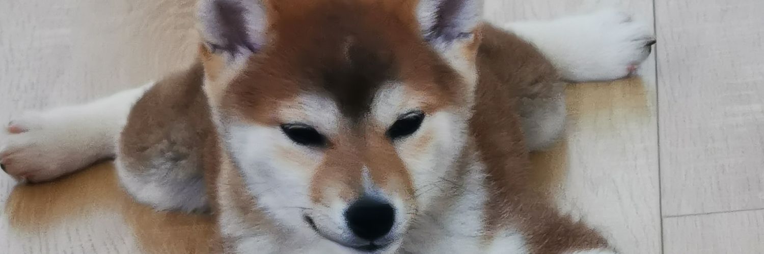 zhijunwang's profile banner image