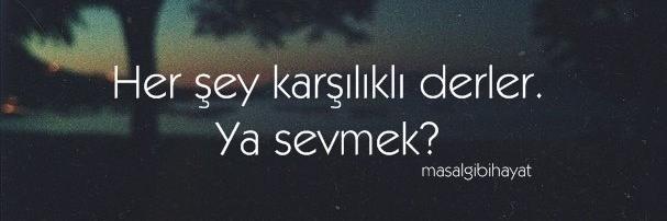 krleyma's profile banner image