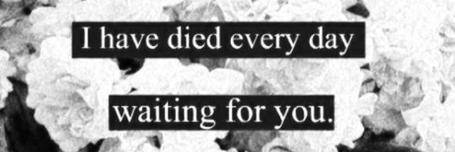 Reign Shirahama banner