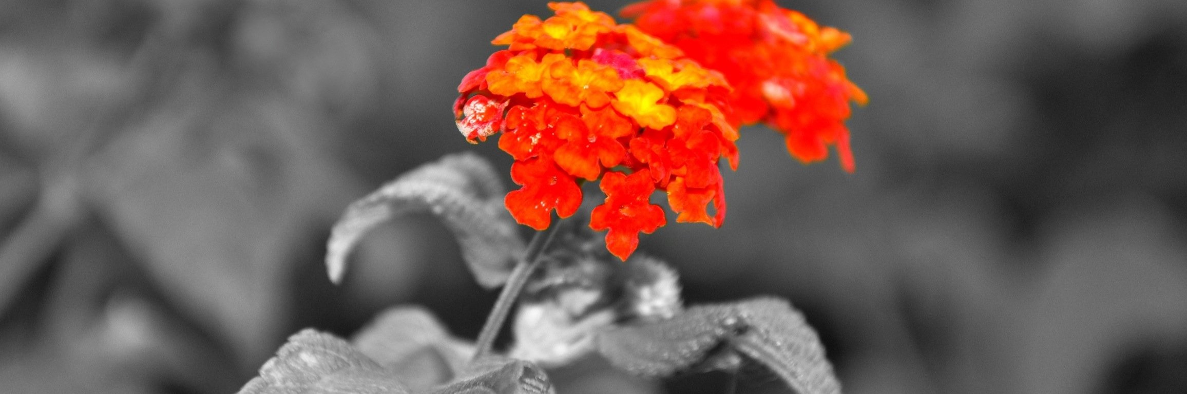 barbaraglzl's profile banner image