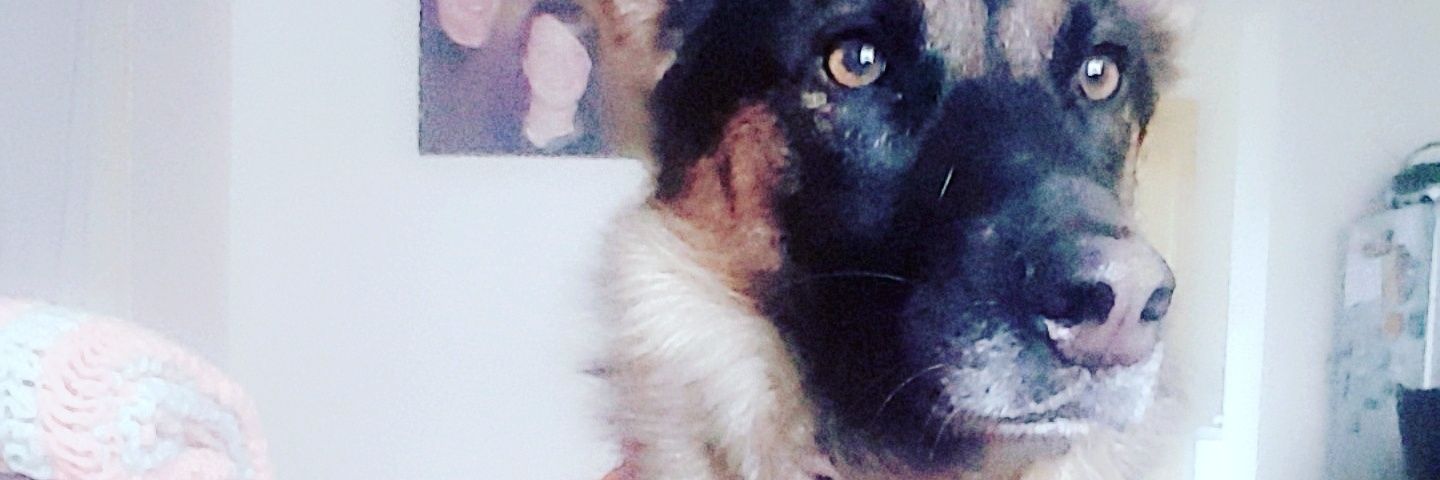 Lorniebabe's profile banner image