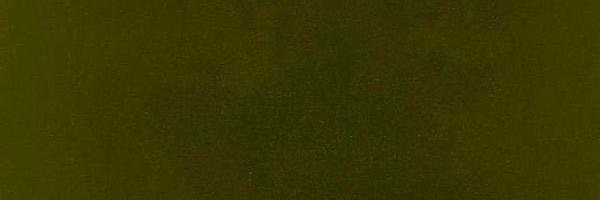 xc_te's profile banner image