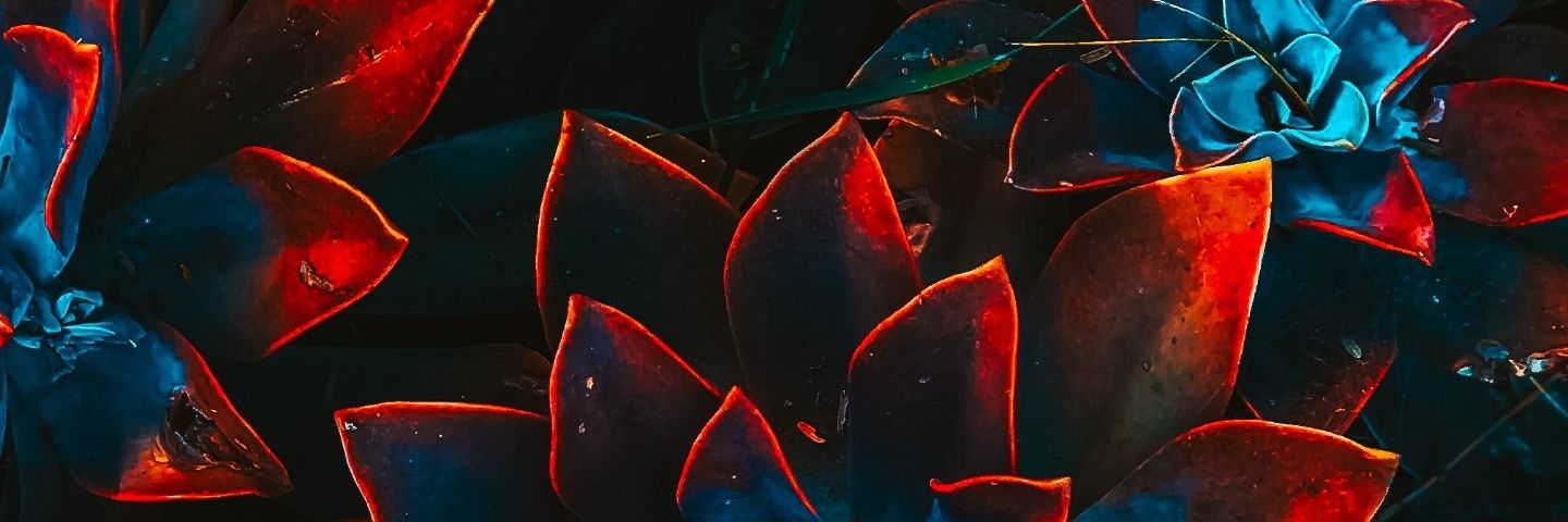 caarlesa's profile banner image