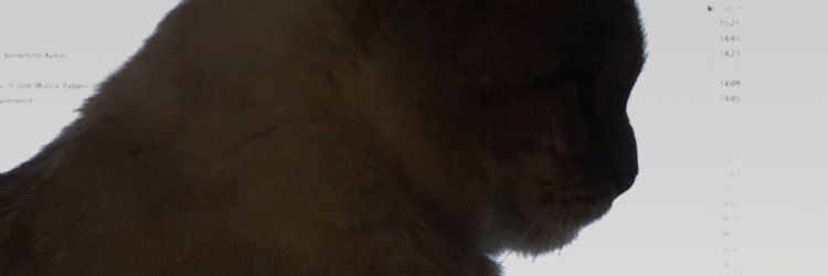 Jochen Remmert banner