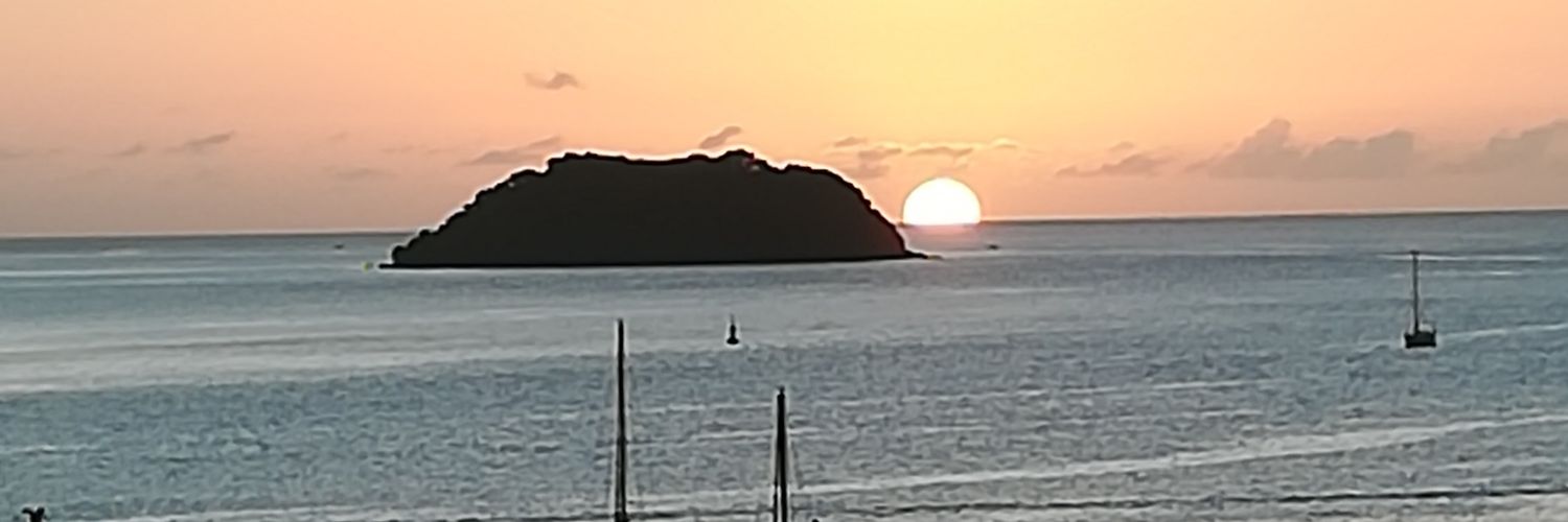 rolfbena's profile banner image