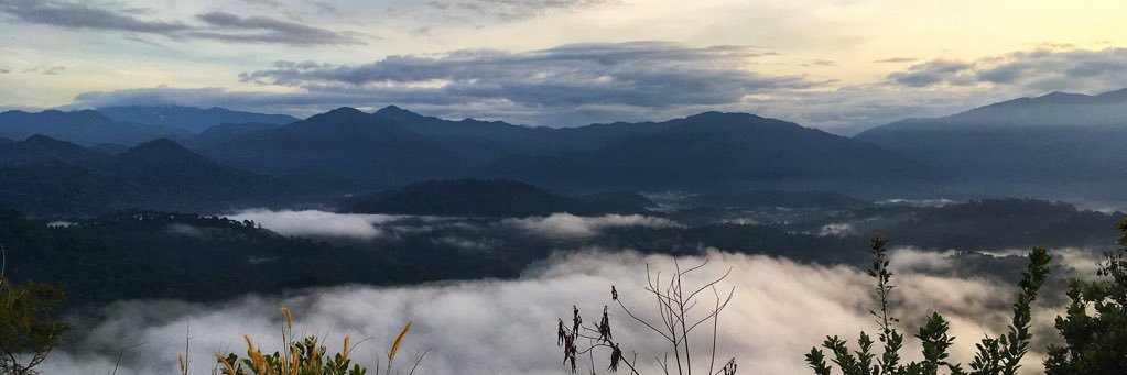 azure_baj's profile banner image