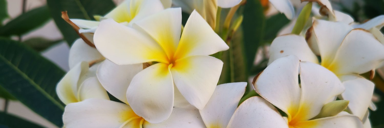 khfhmj's profile banner image