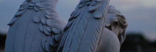ZeeXCIII's profile banner image
