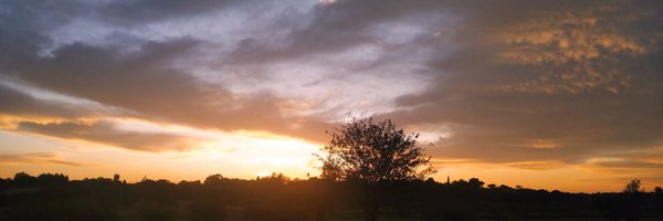 ReinesMistery Profile Banner