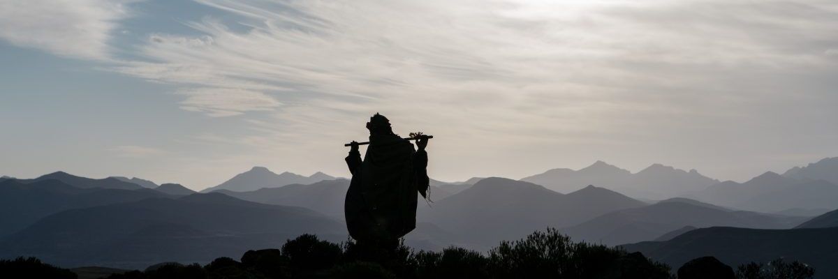 muzi1000's profile banner image