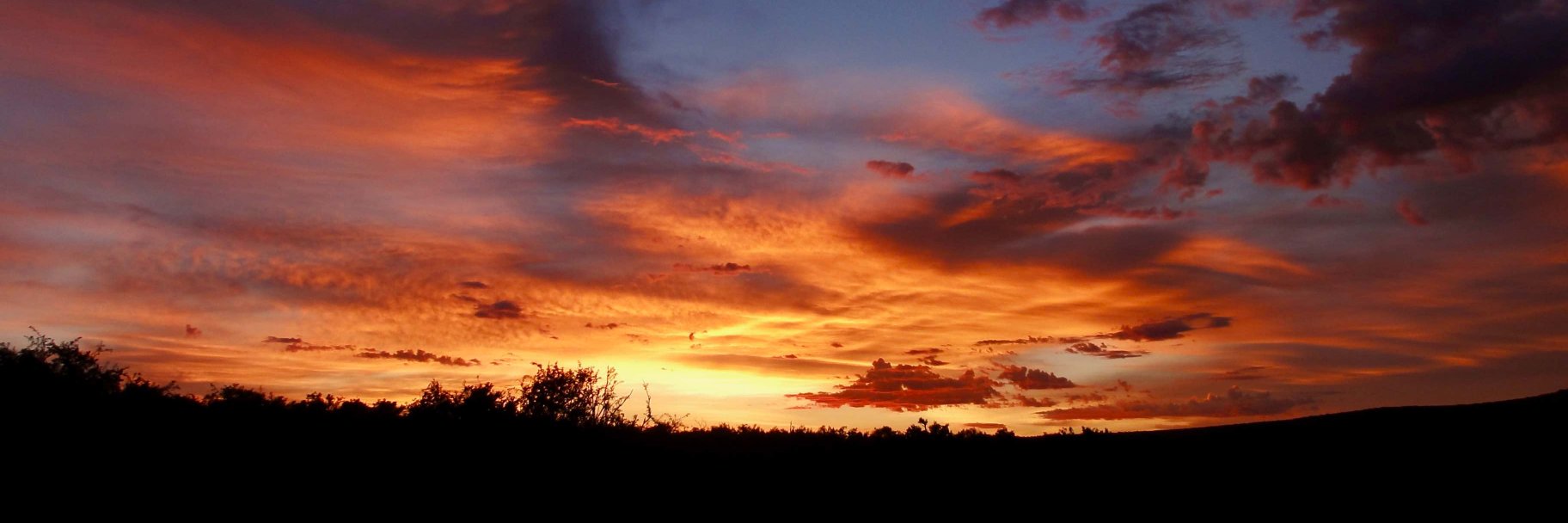 Patrick Howlett banner