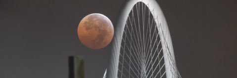 She Moves🫦 banner