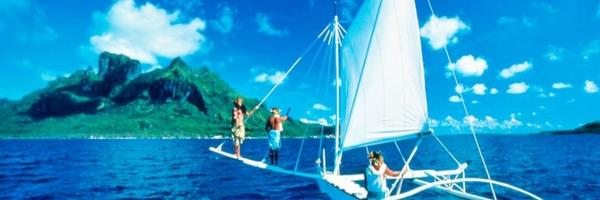 fidteam5 Profile Banner