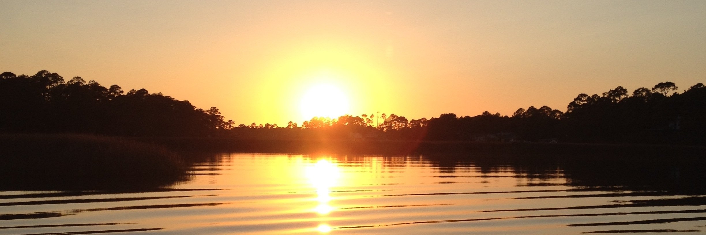 madifielder's profile banner image