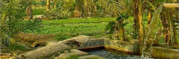 laylahoa59's profile banner image