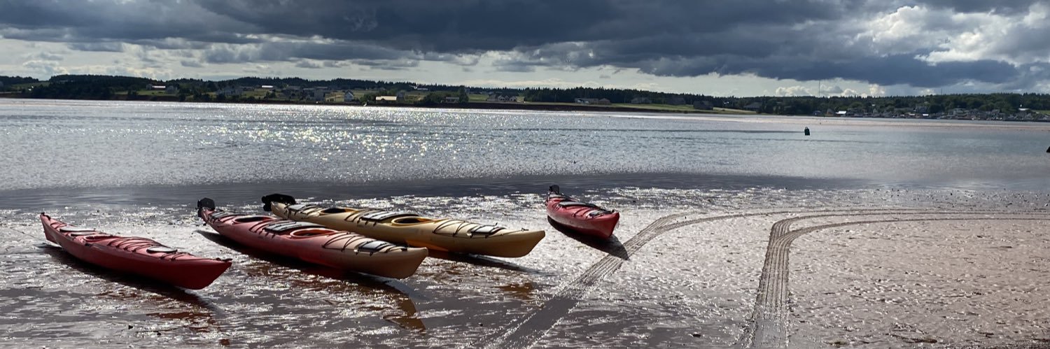 Allison Covert banner