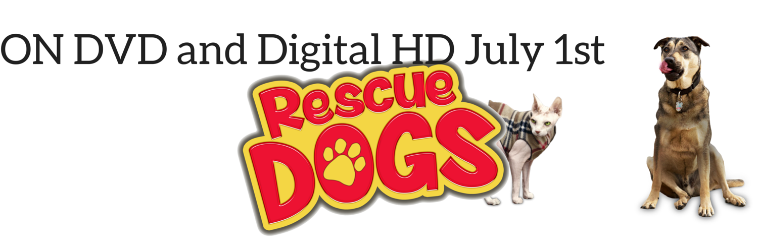 RescueDogsMovie's profile banner image