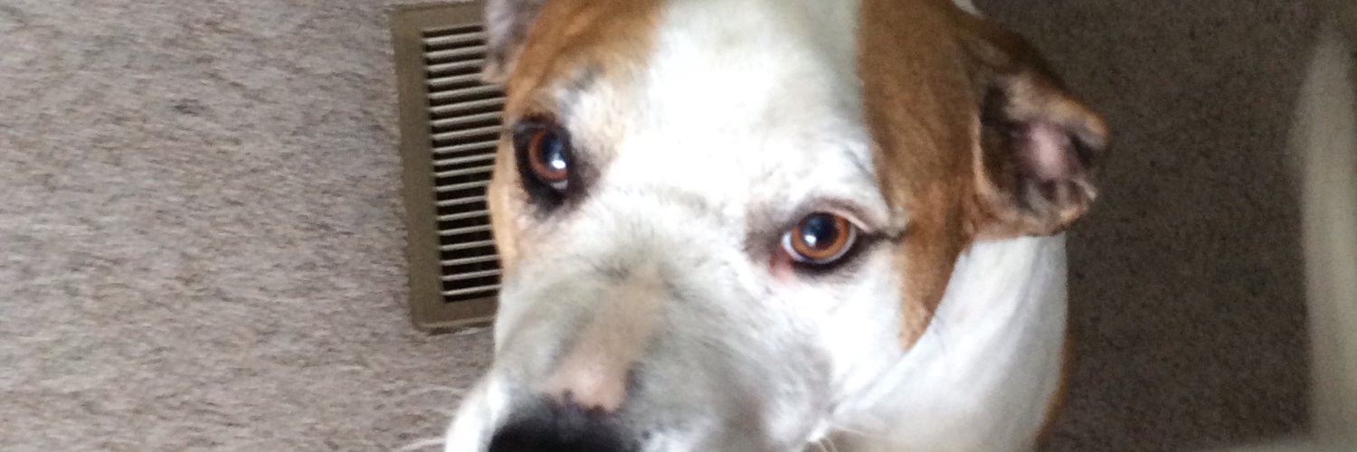 FLGATOR20's profile banner image