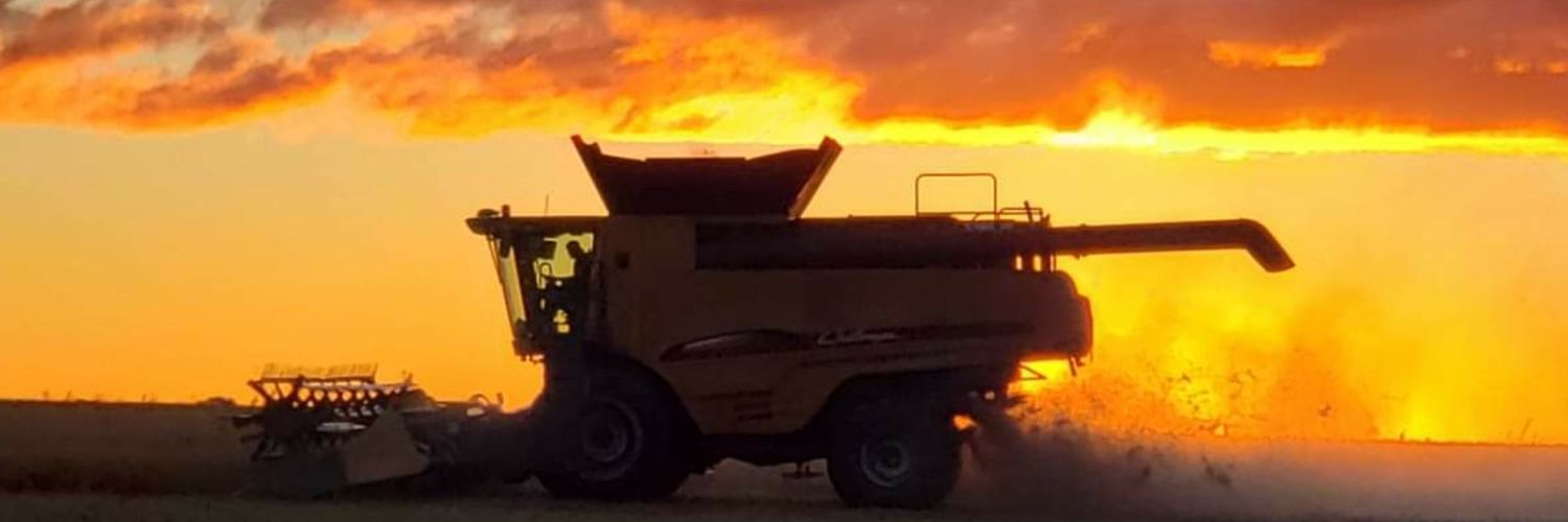 Daniel Barcelonna banner