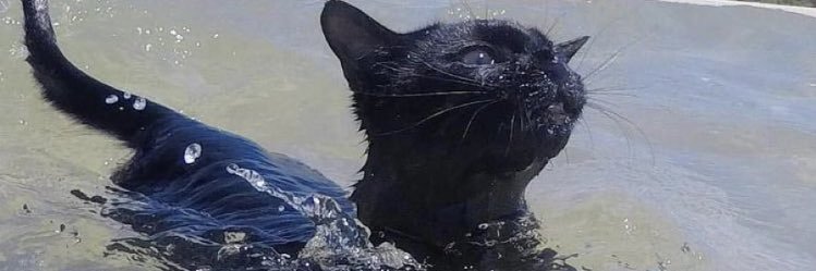 atritou's profile banner image