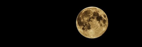 Judgeyxo Profile Banner