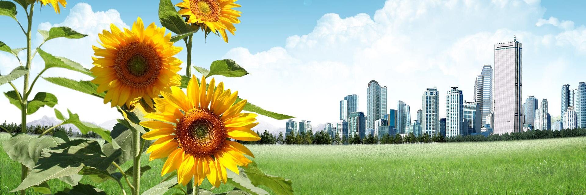 CSC_LAMLONG's profile banner image