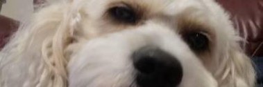 lidbid46's profile banner image